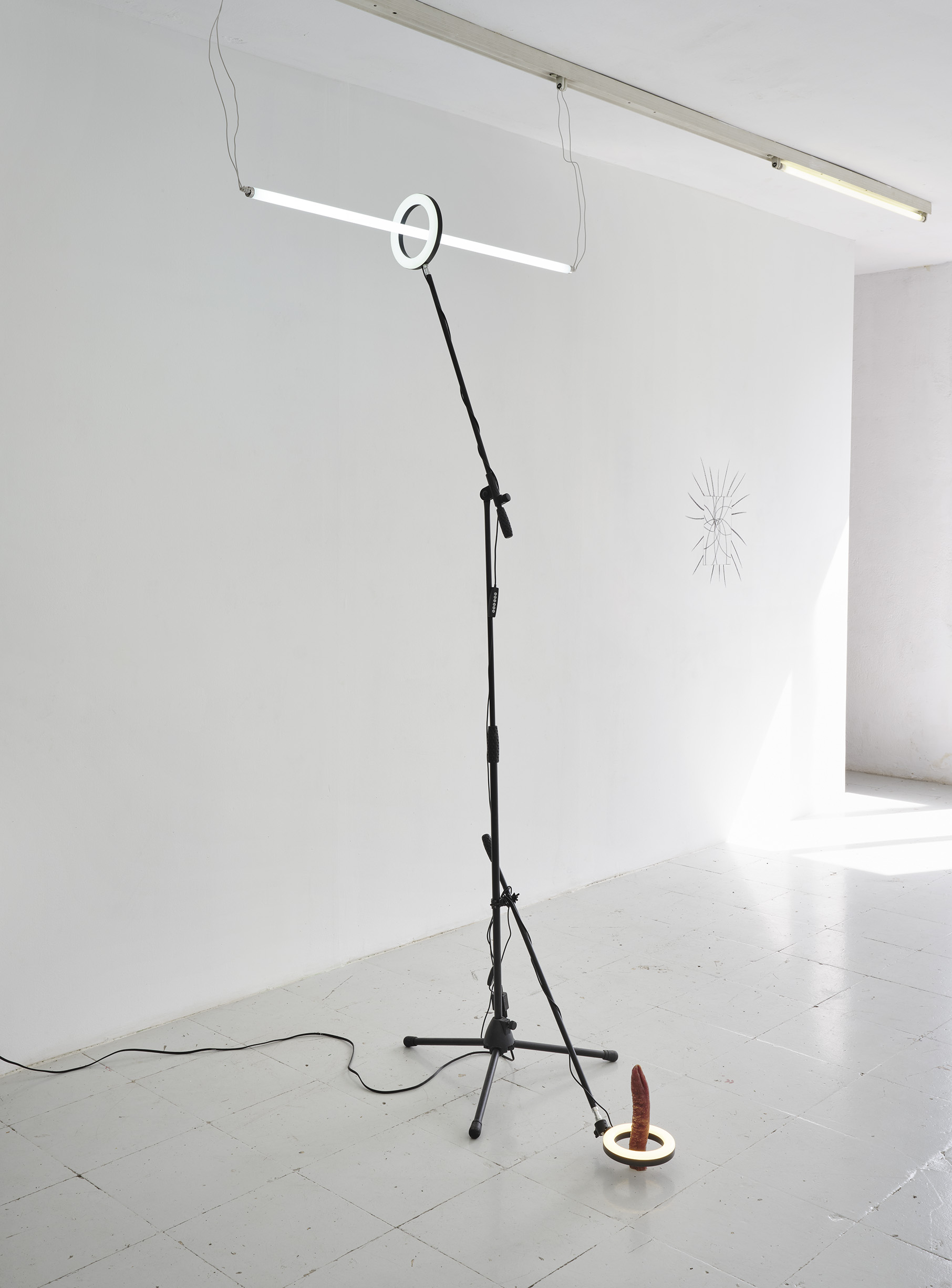 Platos (1999)